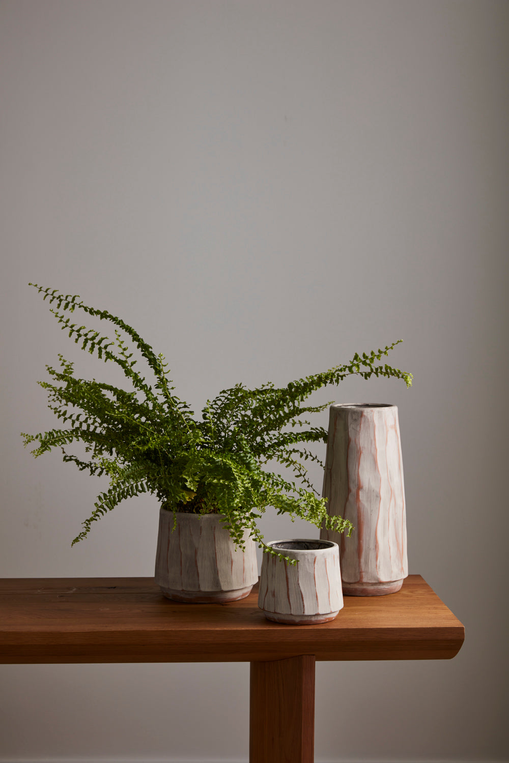 Forest Bark Collection