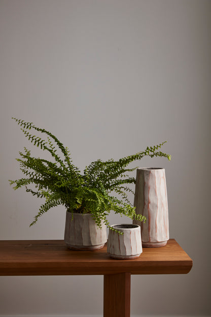 Forest Bark Collection
