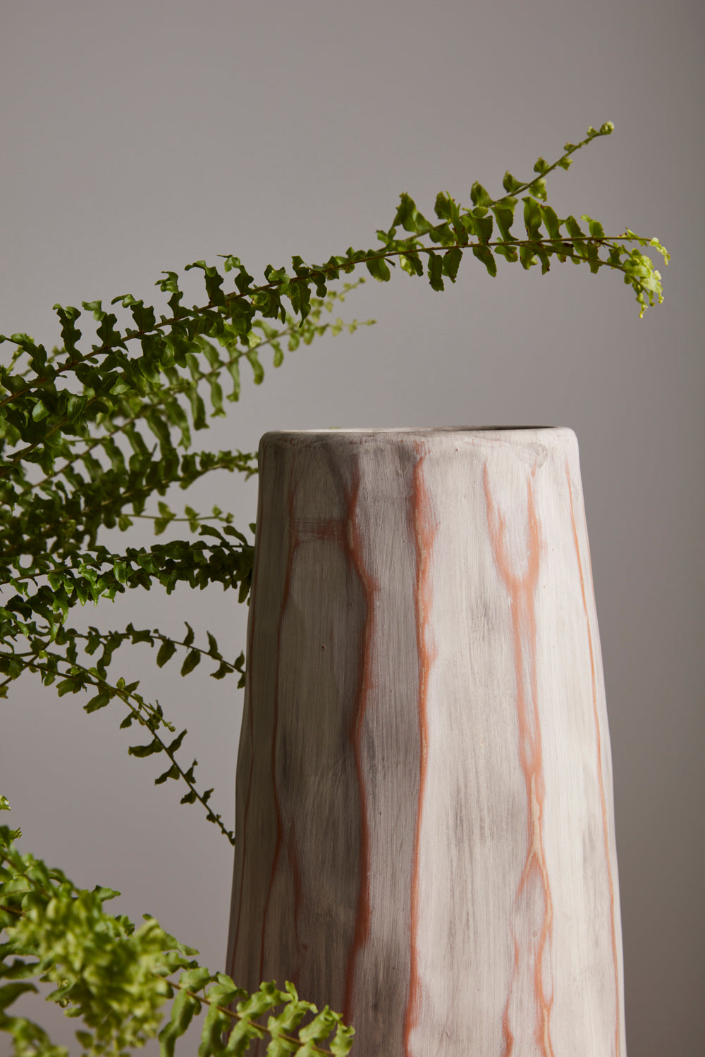 Forest Bark Collection