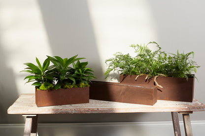 Galveston Planter