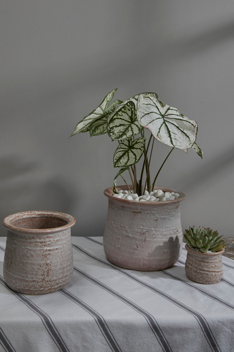 Gamma Pot