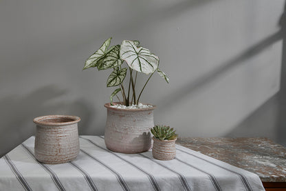 Gamma Pot