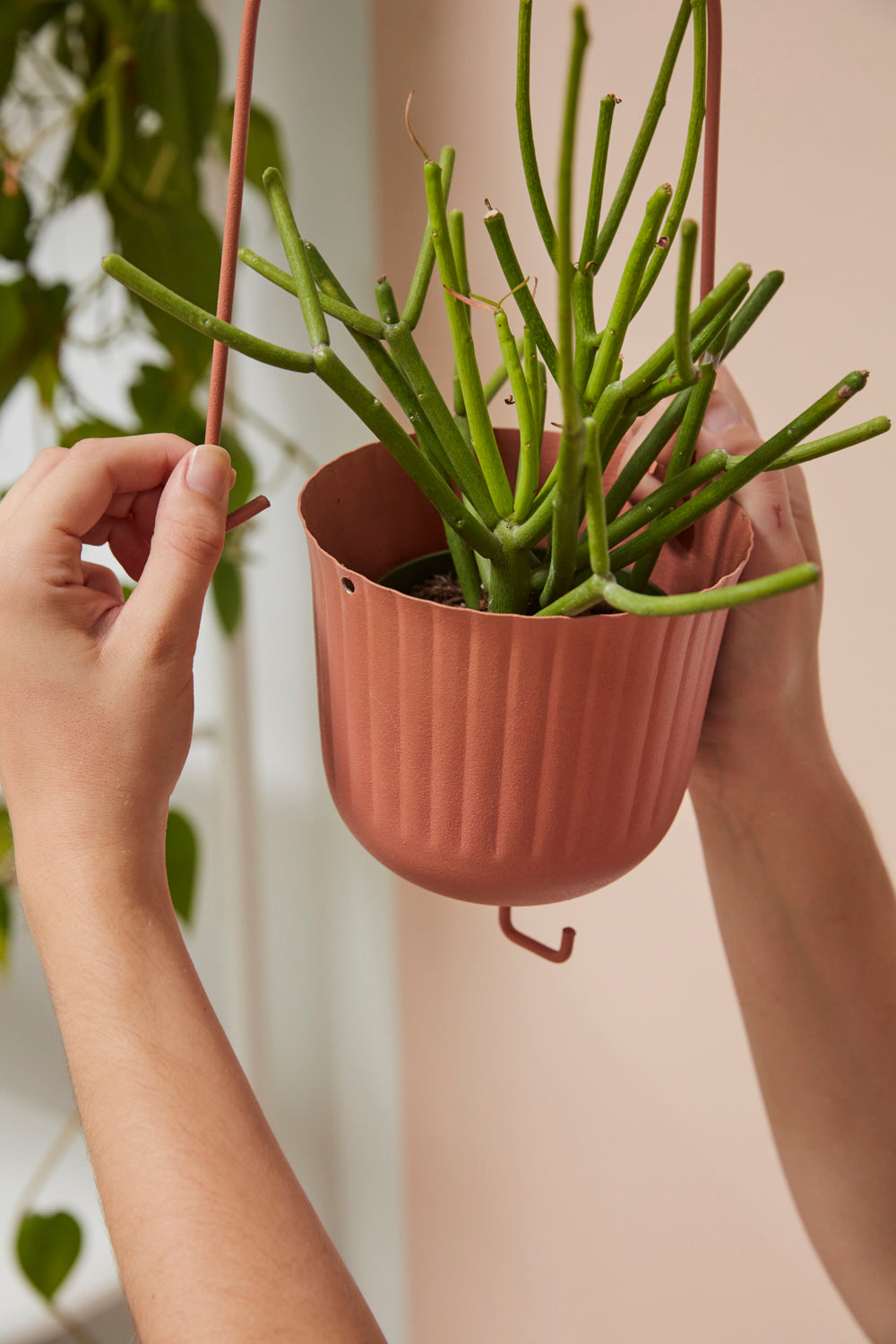 Gemini Hanging Pot