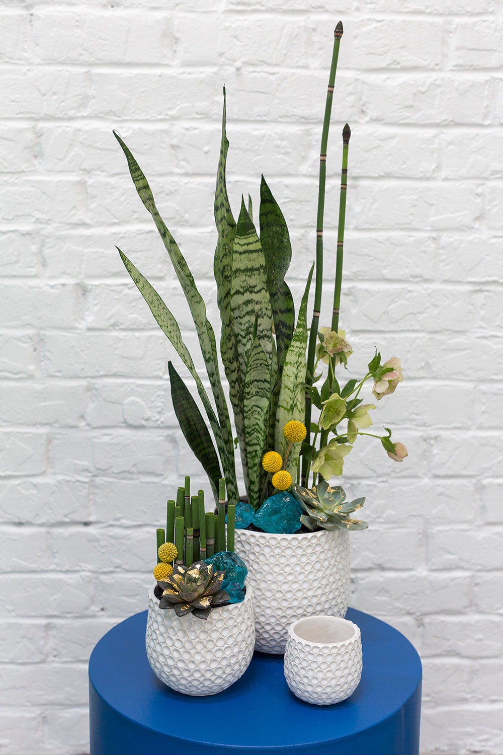 Ginny Pot