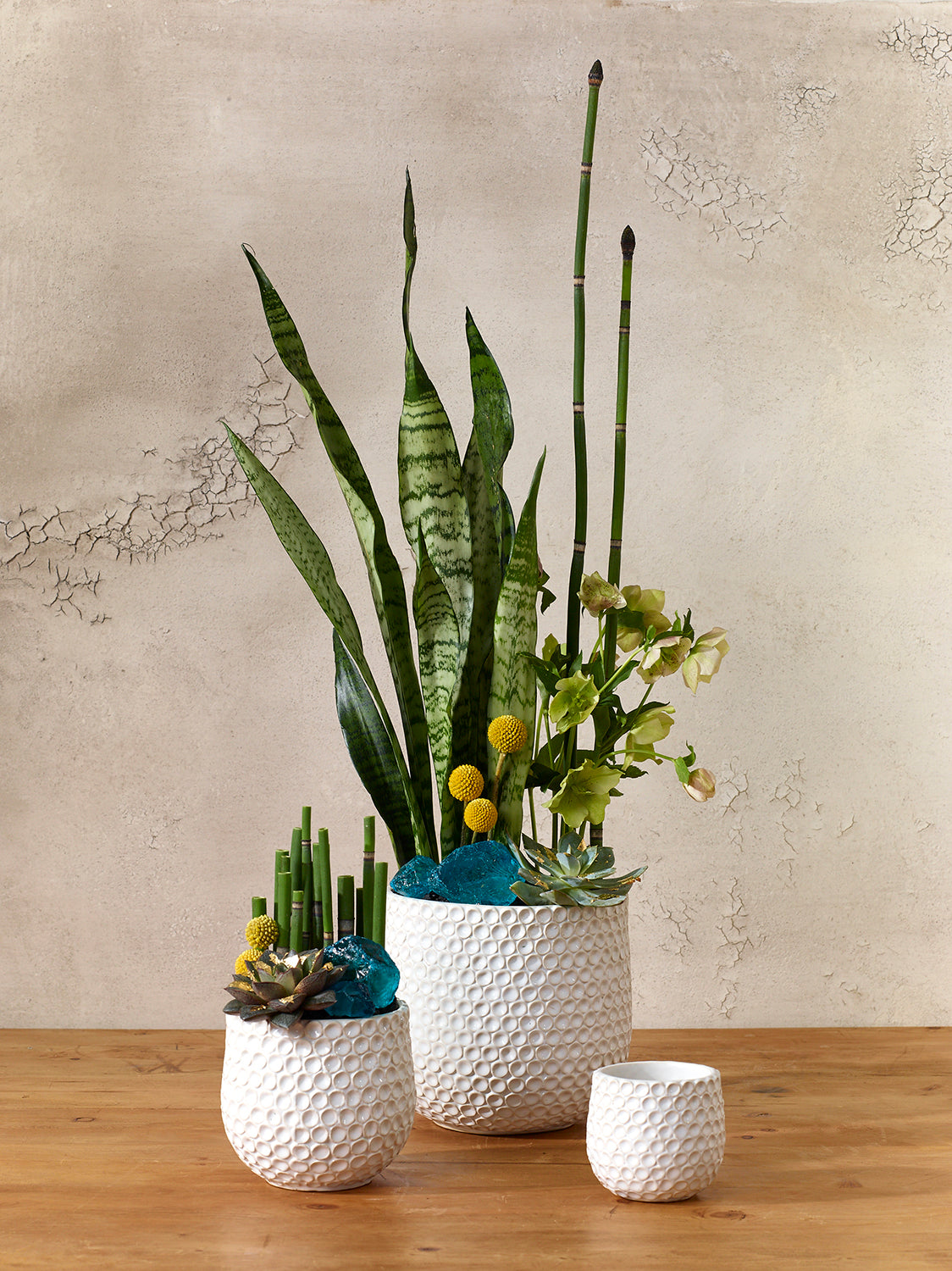 Ginny Pot