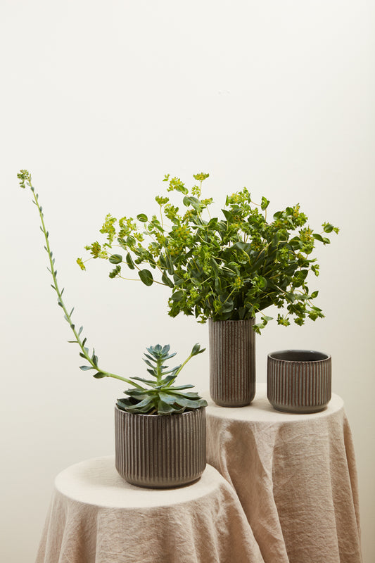 Habitat Collection