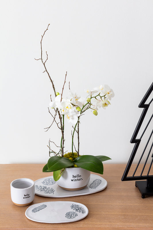 Hello Winter Pot and Tray