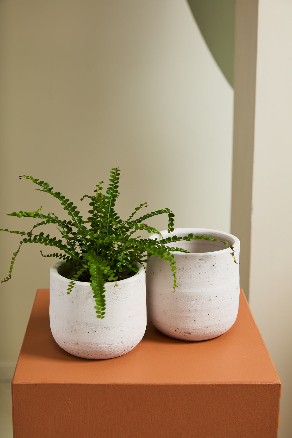 Hera Pot