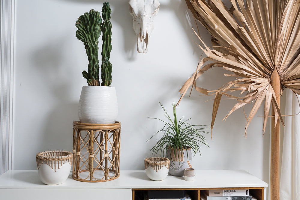 Hideaway Pot