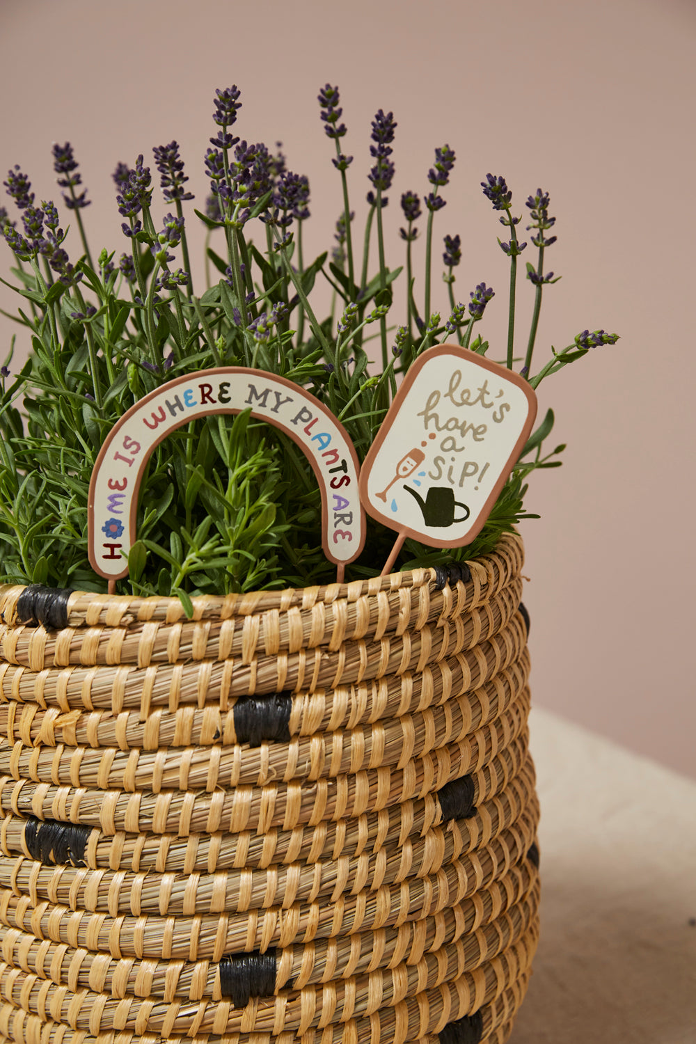 Homebody Plant Stick