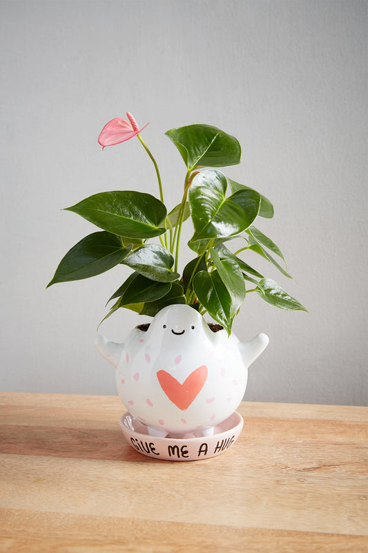 Hug Me Pot