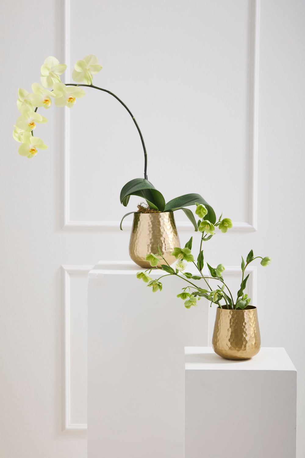 Hux Pot
