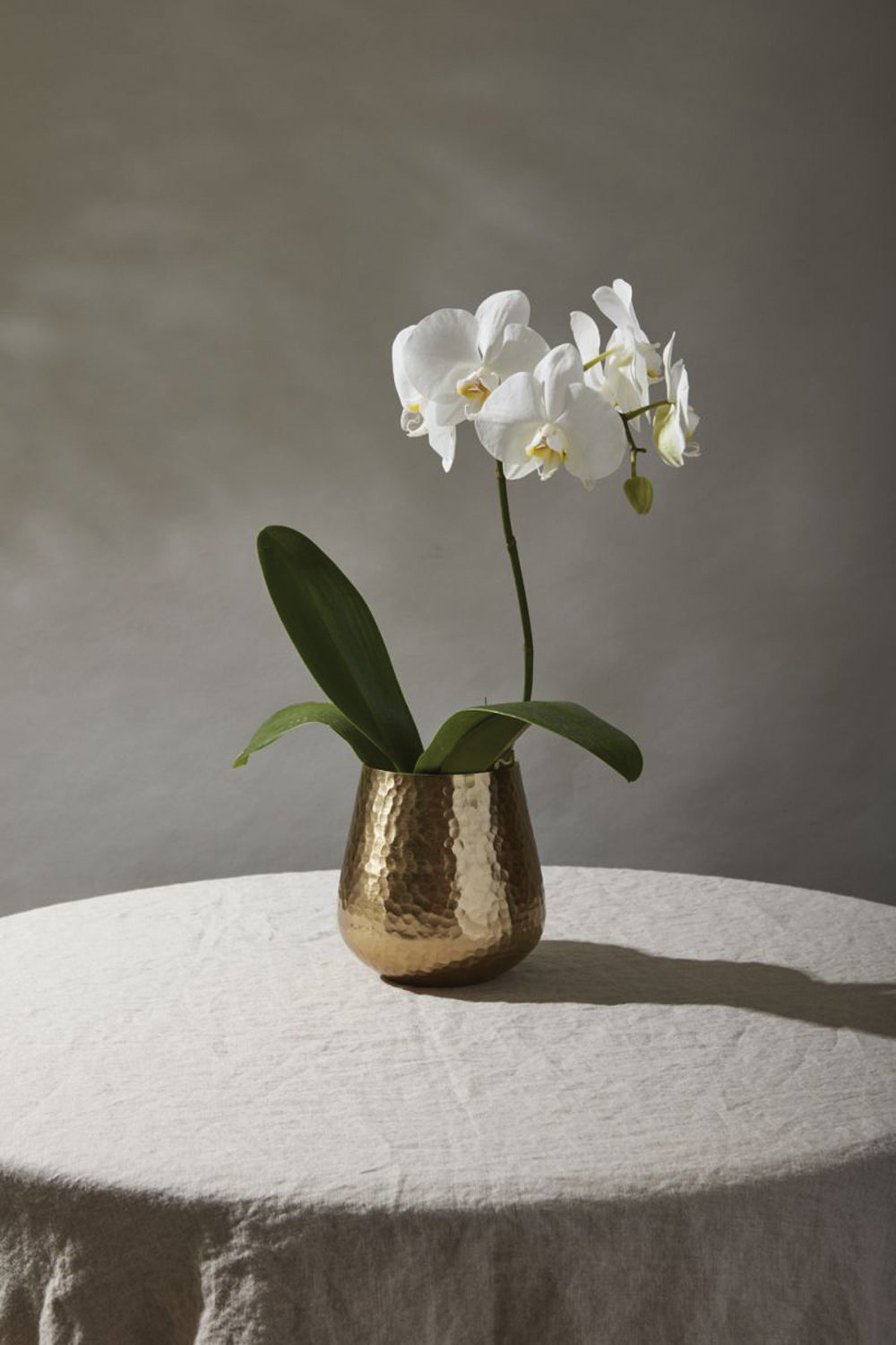 Hux Pot