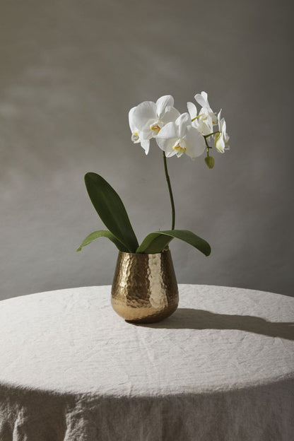 Hux Pot