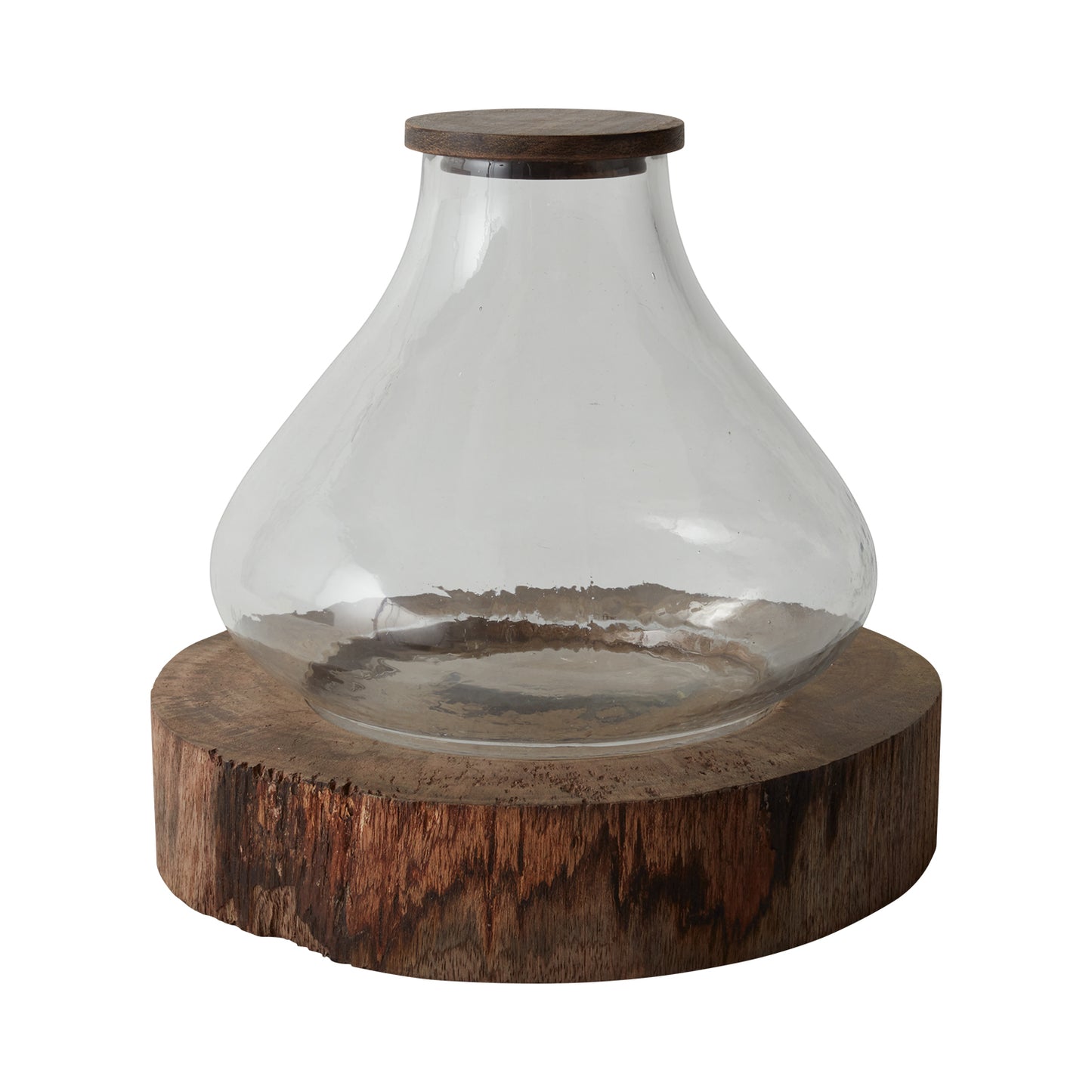 Iva Terrarium