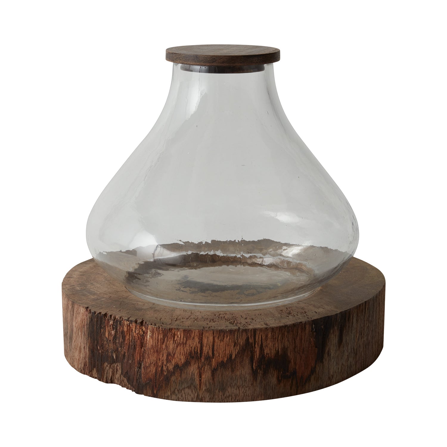 Iva Terrarium