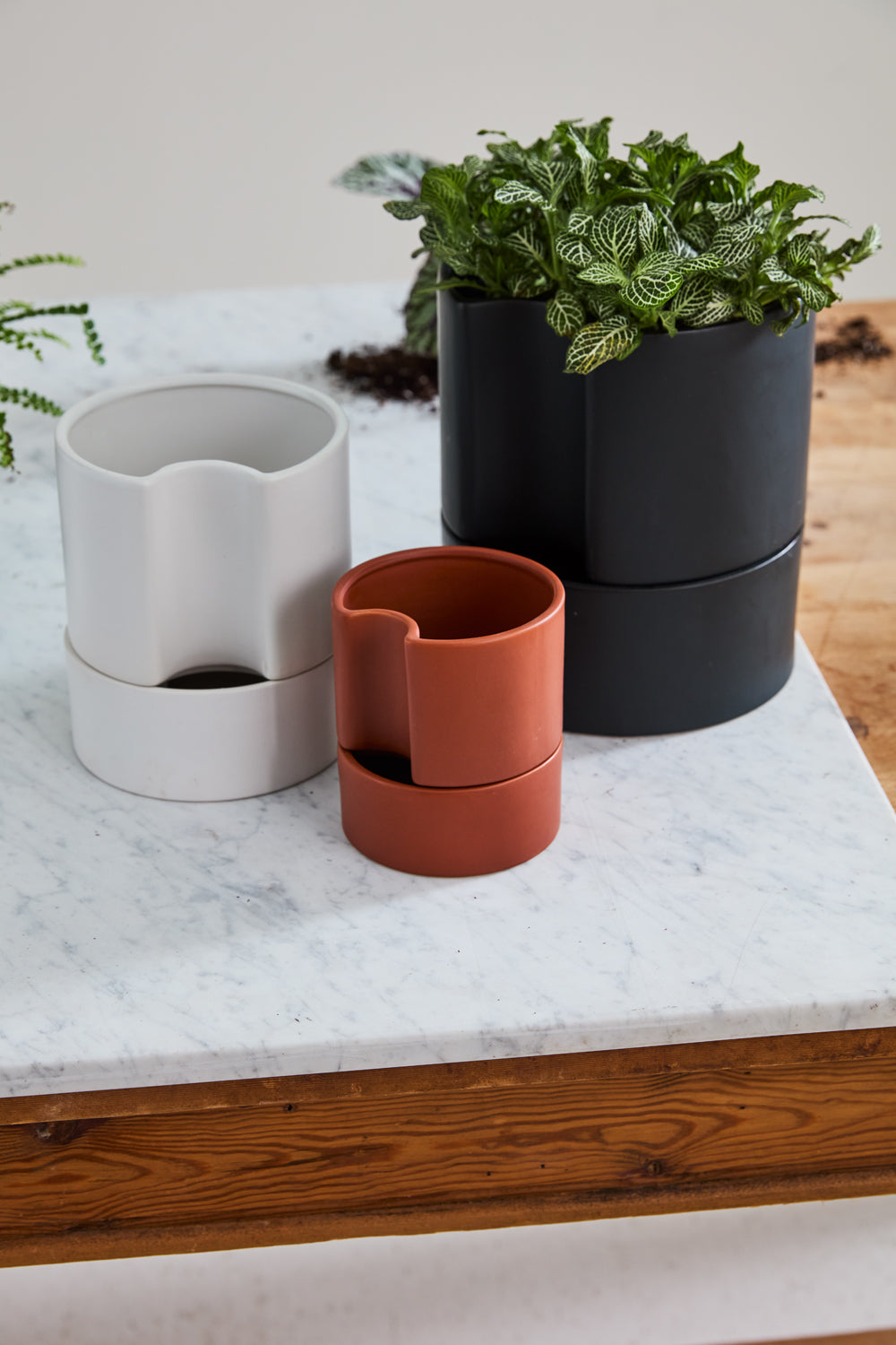Jett Pot
