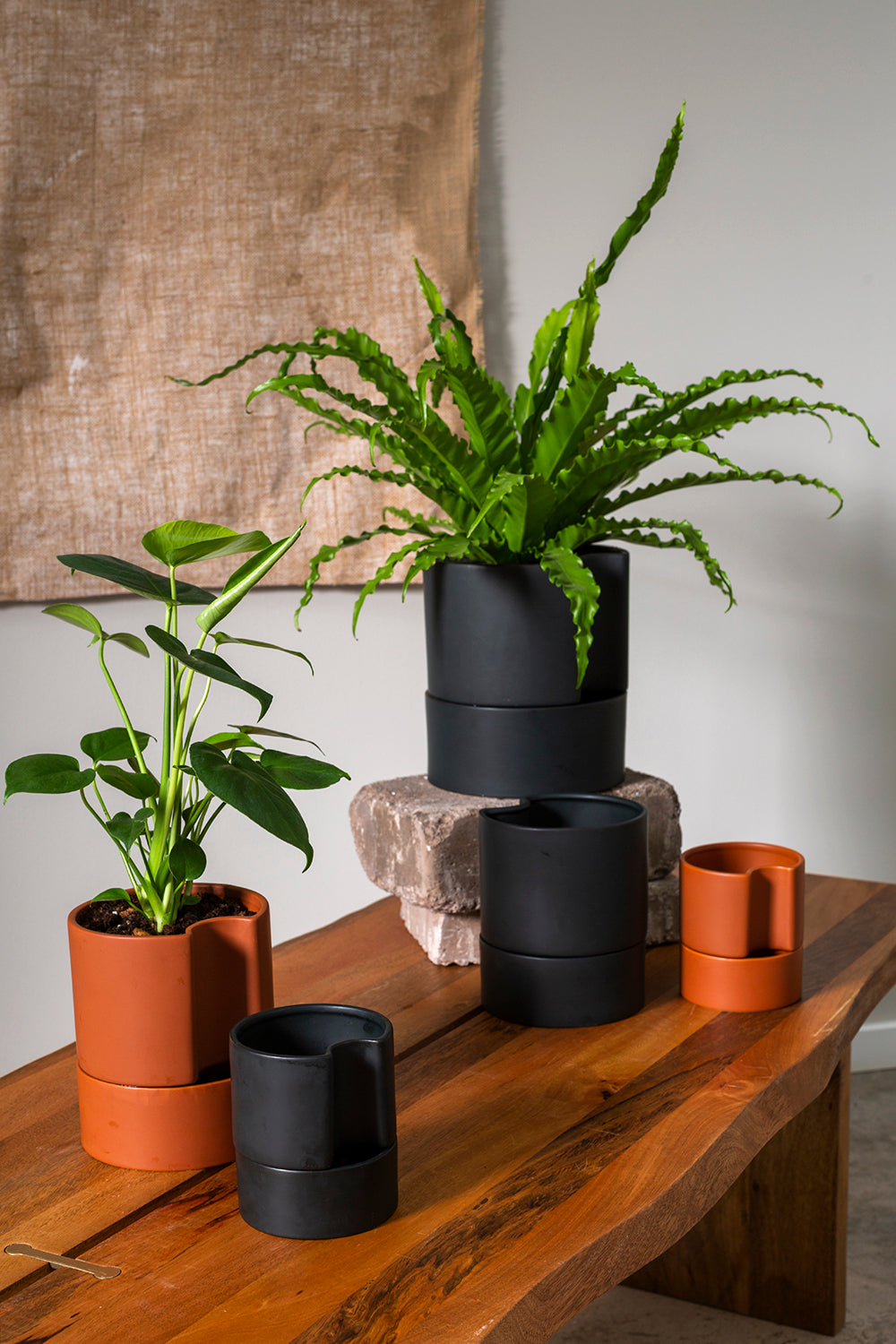 Jett Pot