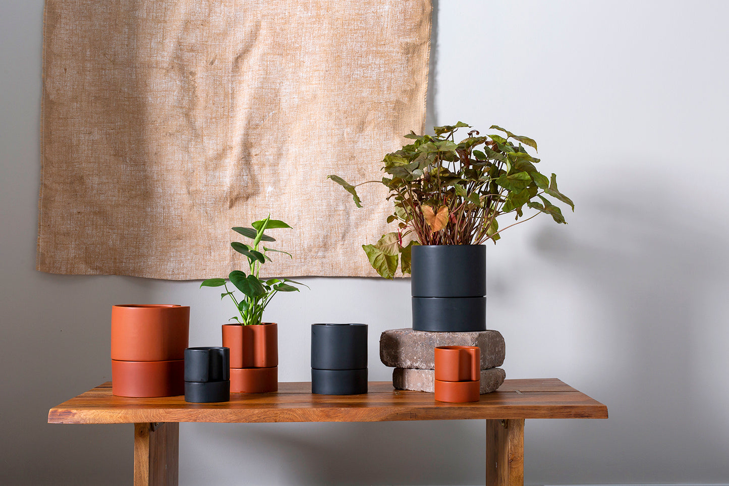 Jett Pot