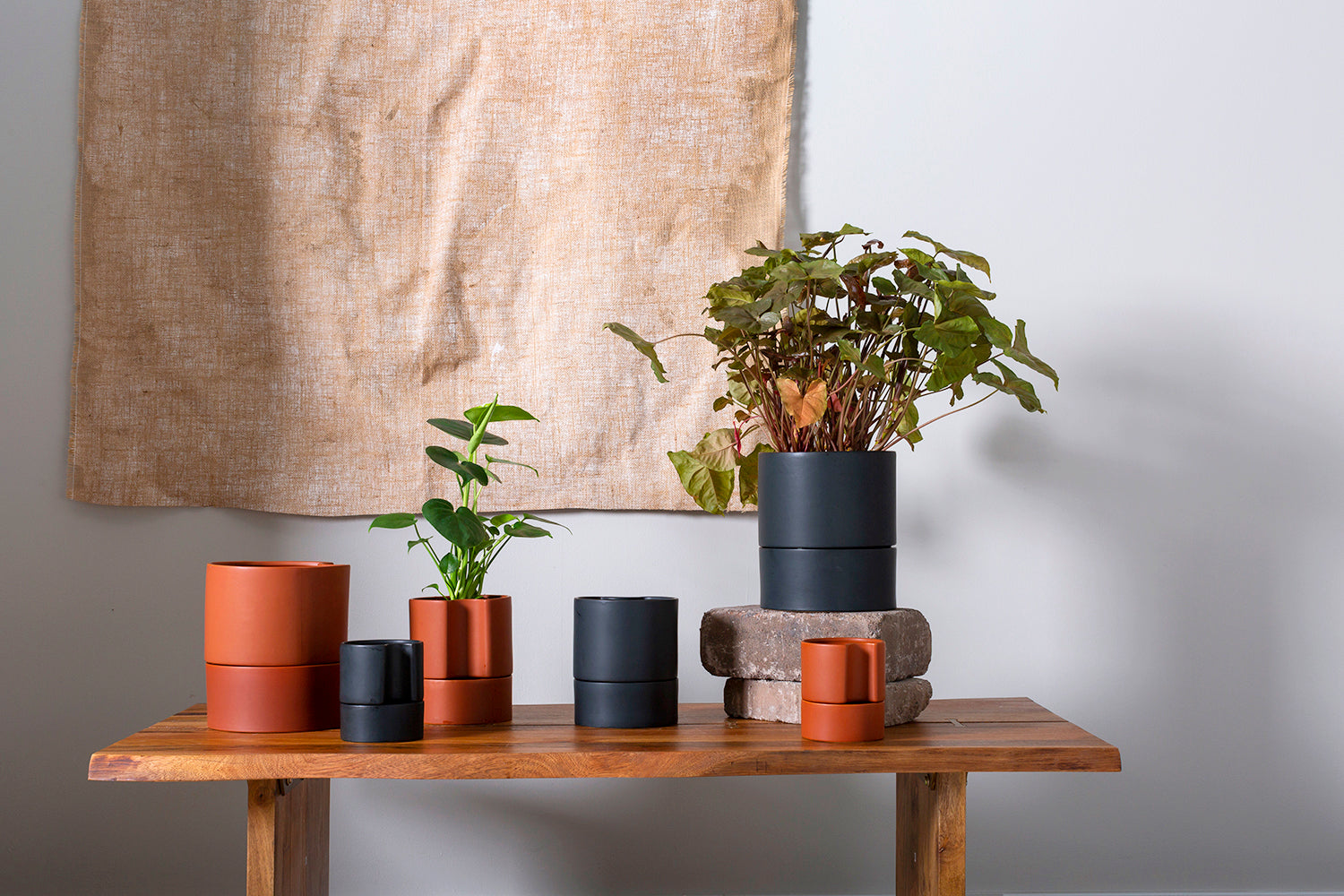 Jett Pot