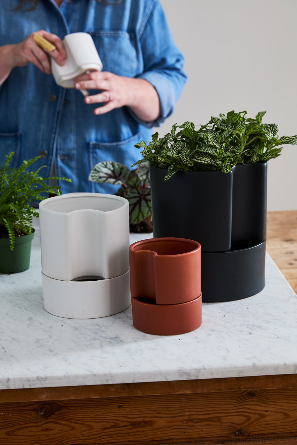 Jett Pot