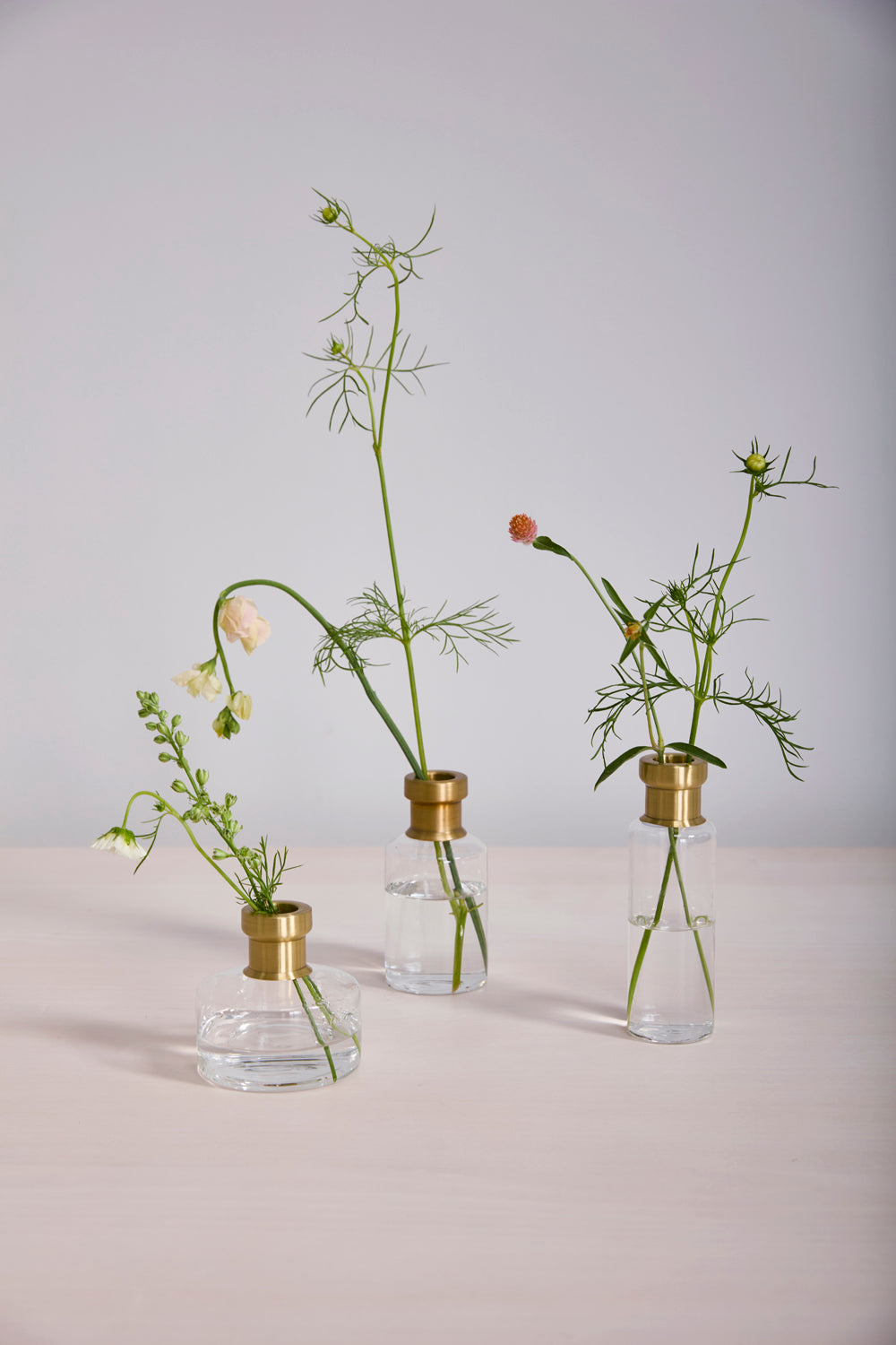 Jimmy Budvase