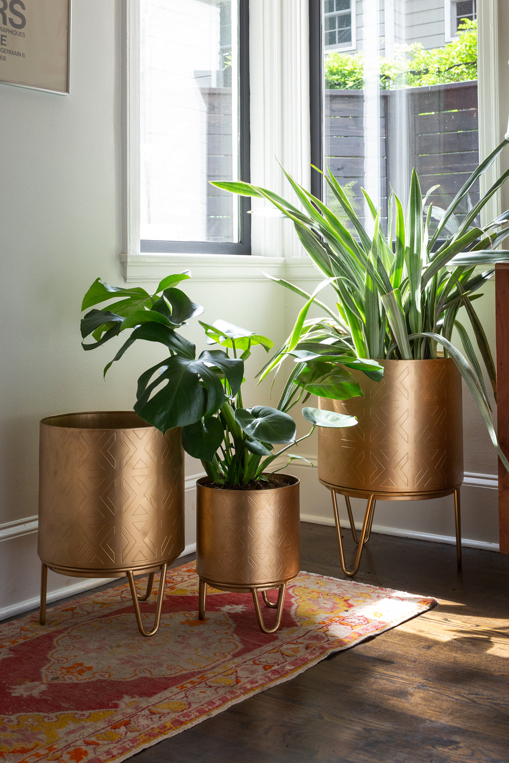 Juneau Pot Collection