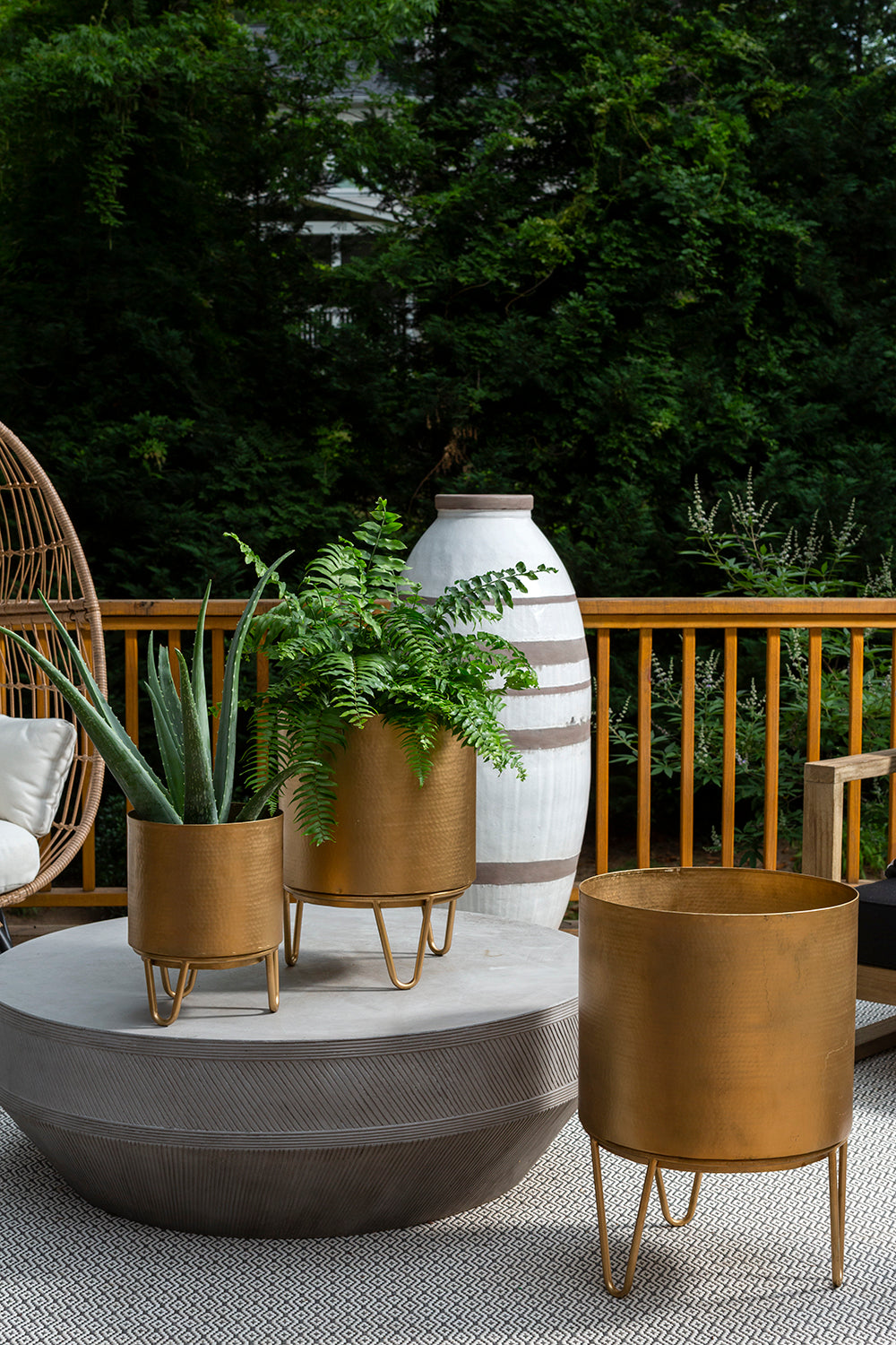 Juneau Pot Collection
