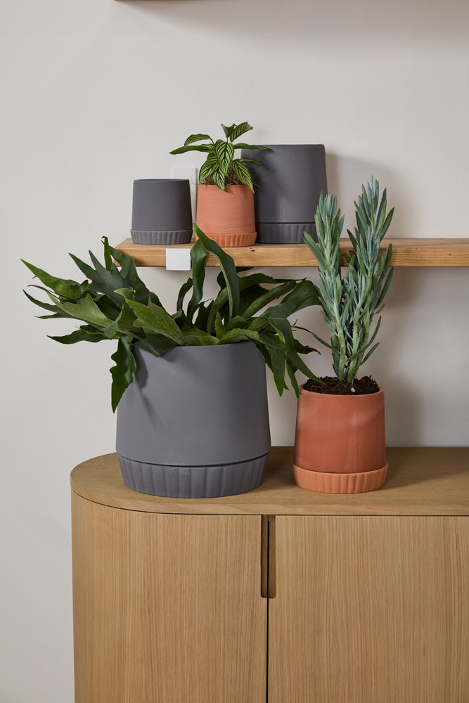 Kadin Pot