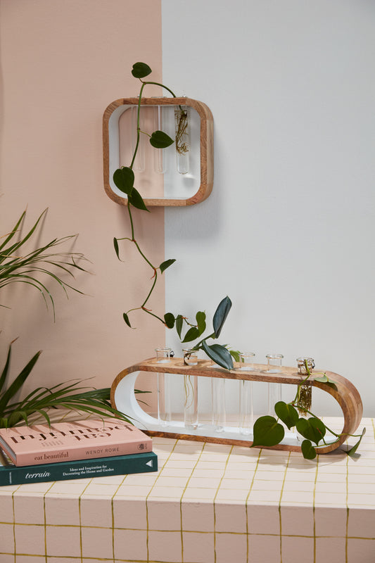 Kennedy Propagation Stand