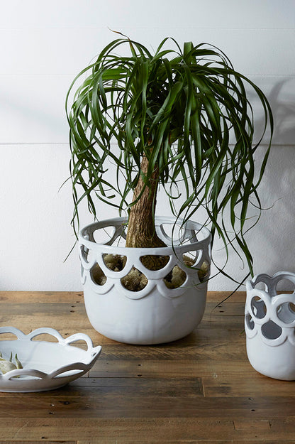 Lattice Collection