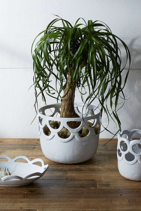 Lattice Collection