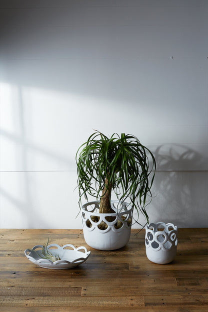 Lattice Collection