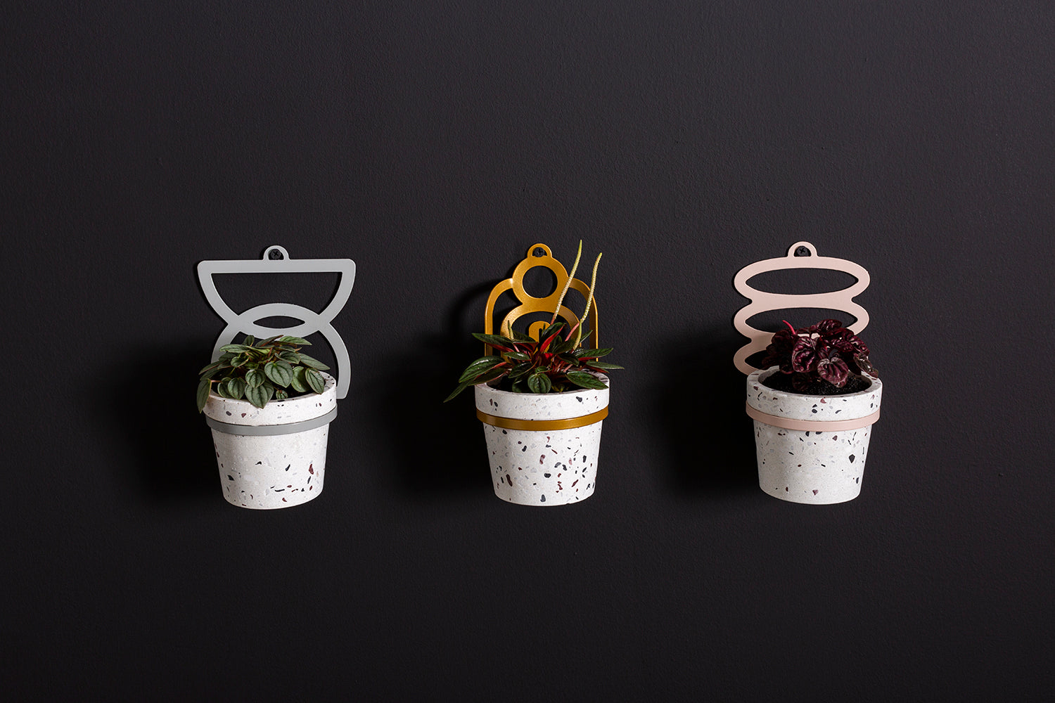 Lazaro Hanging Pot