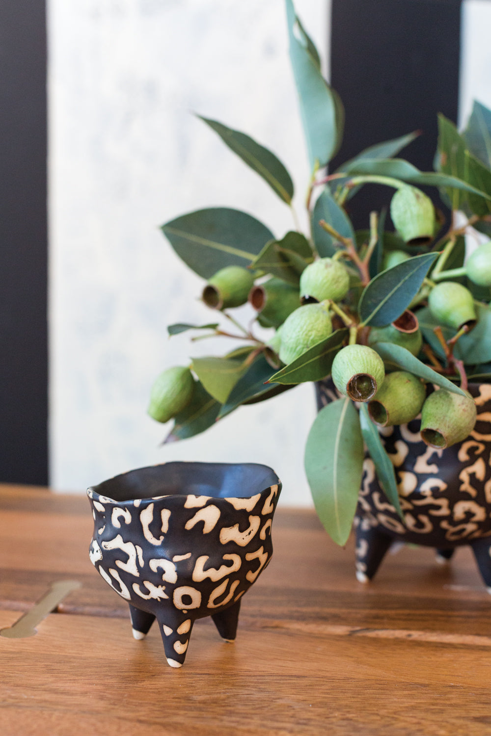 Leesi Pot