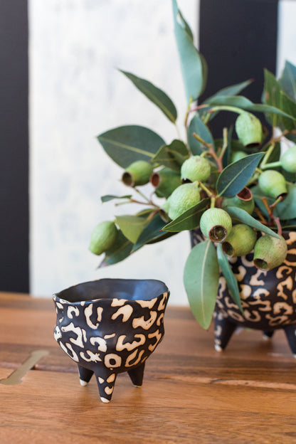 Leesi Pot