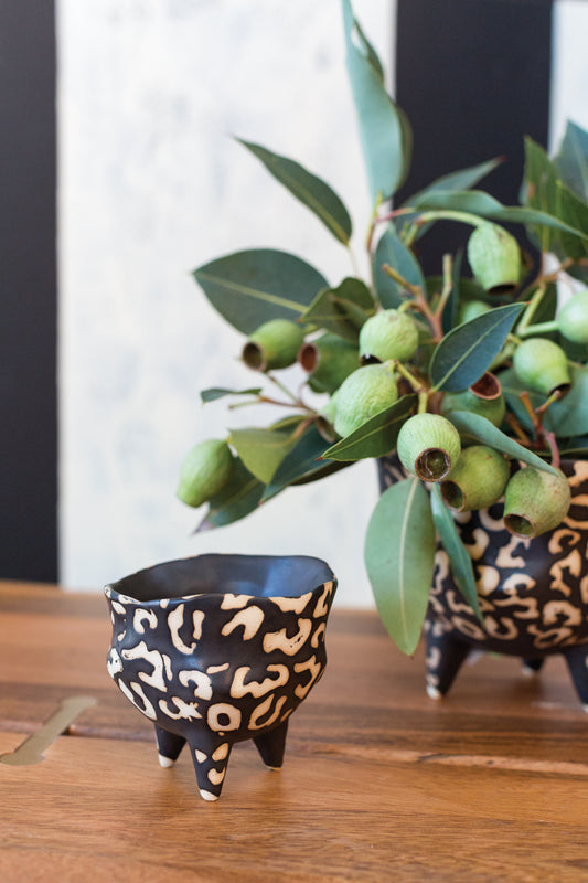 Leesi Pot