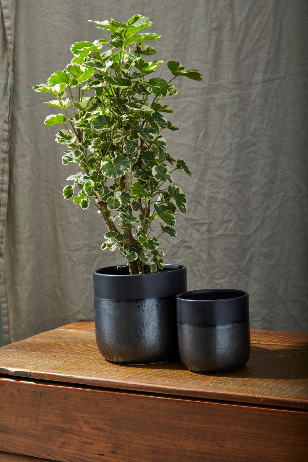 Lennon Pot