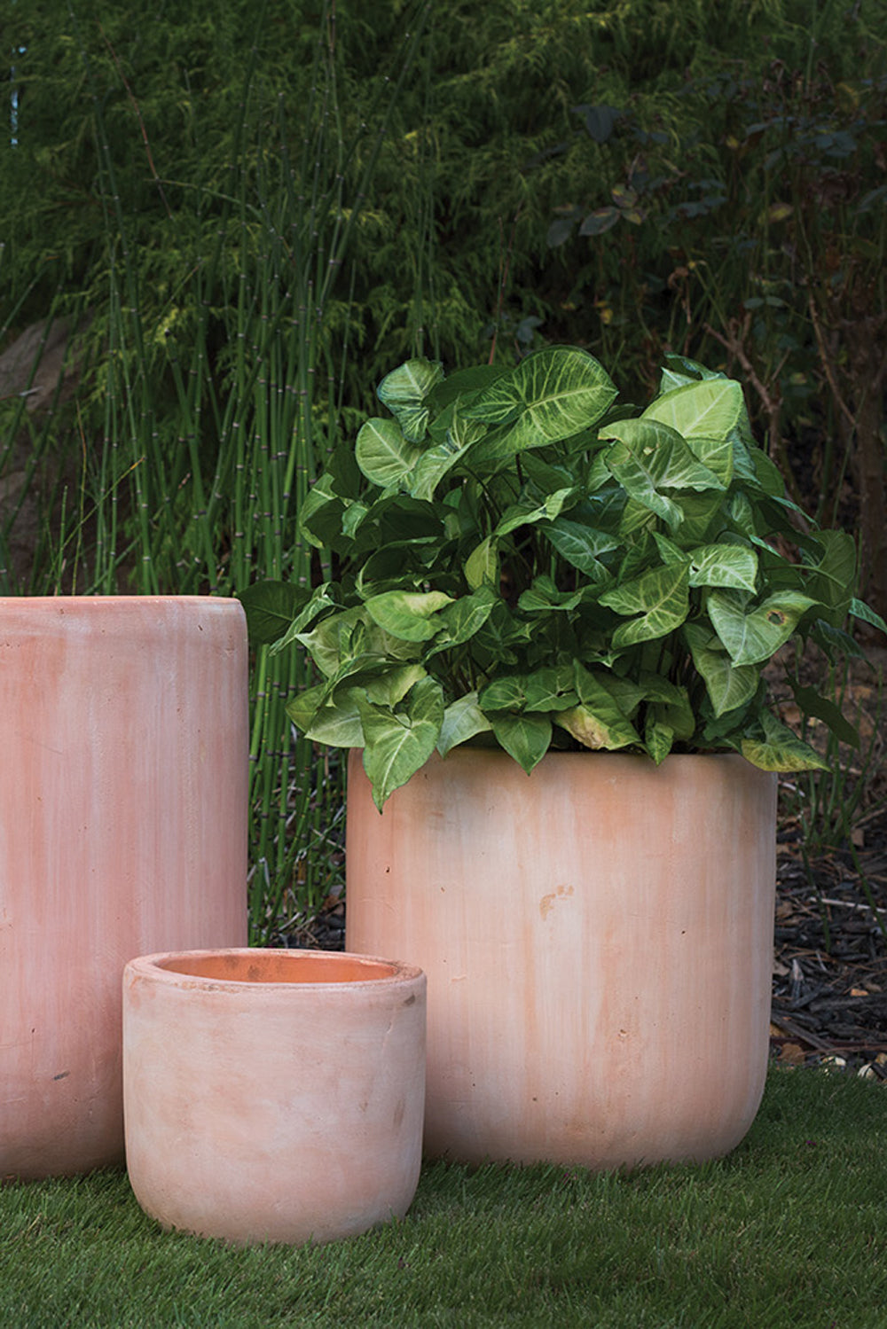 Lerato Pot