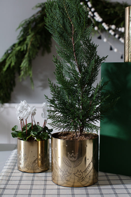 Linnea Collection
