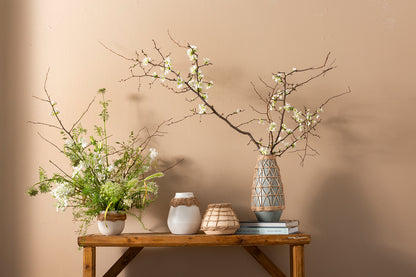 Lissome Collection