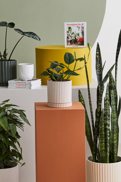 Los Feliz Pot with Saucer