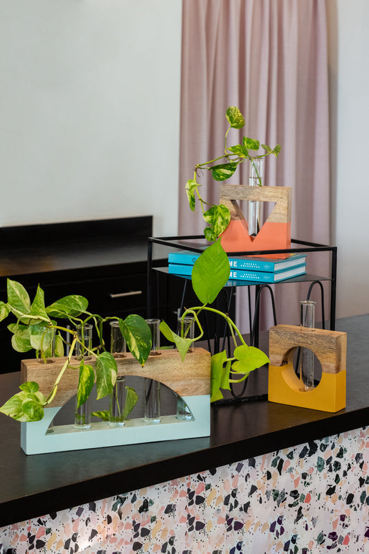 Lotem Propagation Stand