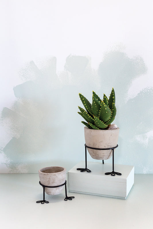 Lucky Feet Pot
