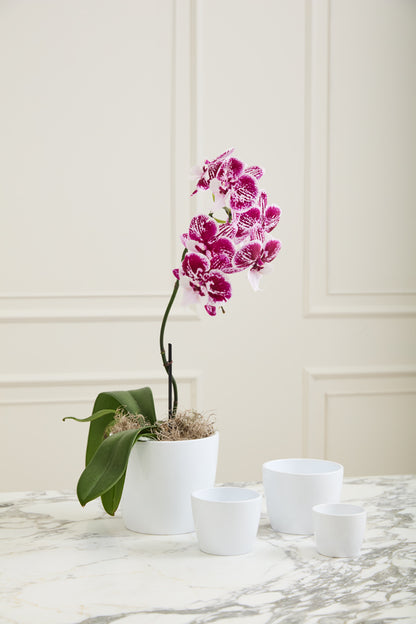 Malibu Pot