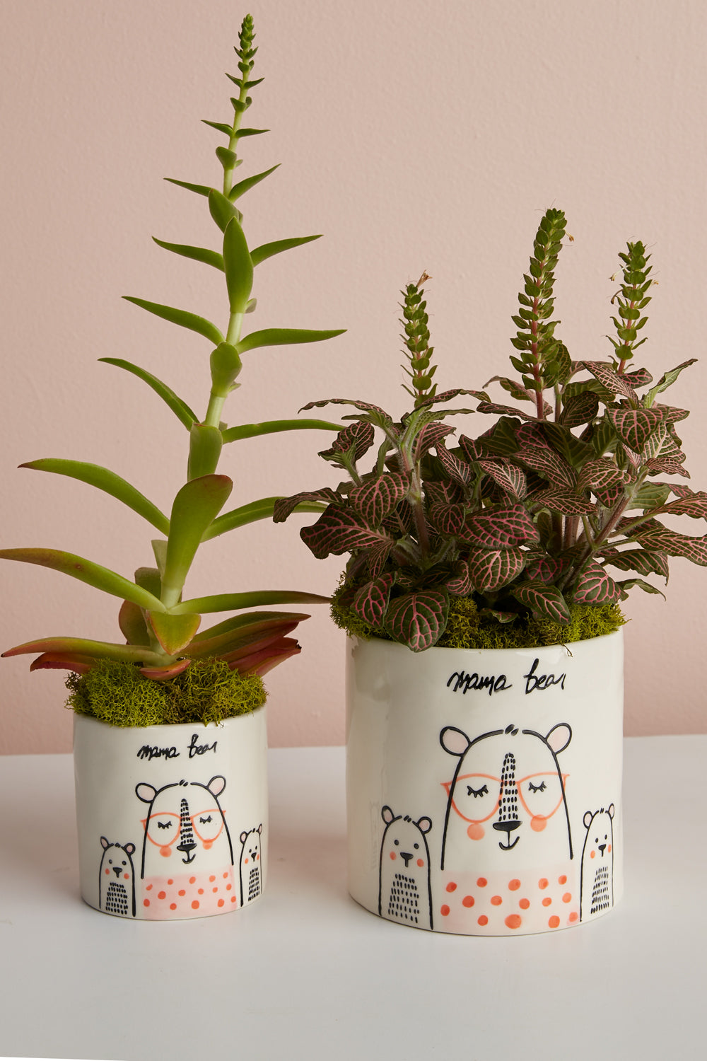 Mama Bear Collection