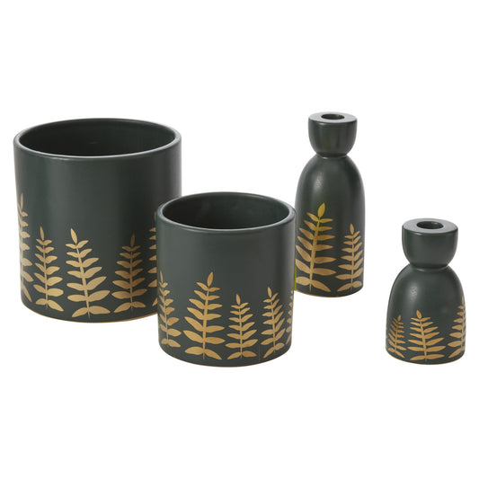 Midwinter Fern Collection
