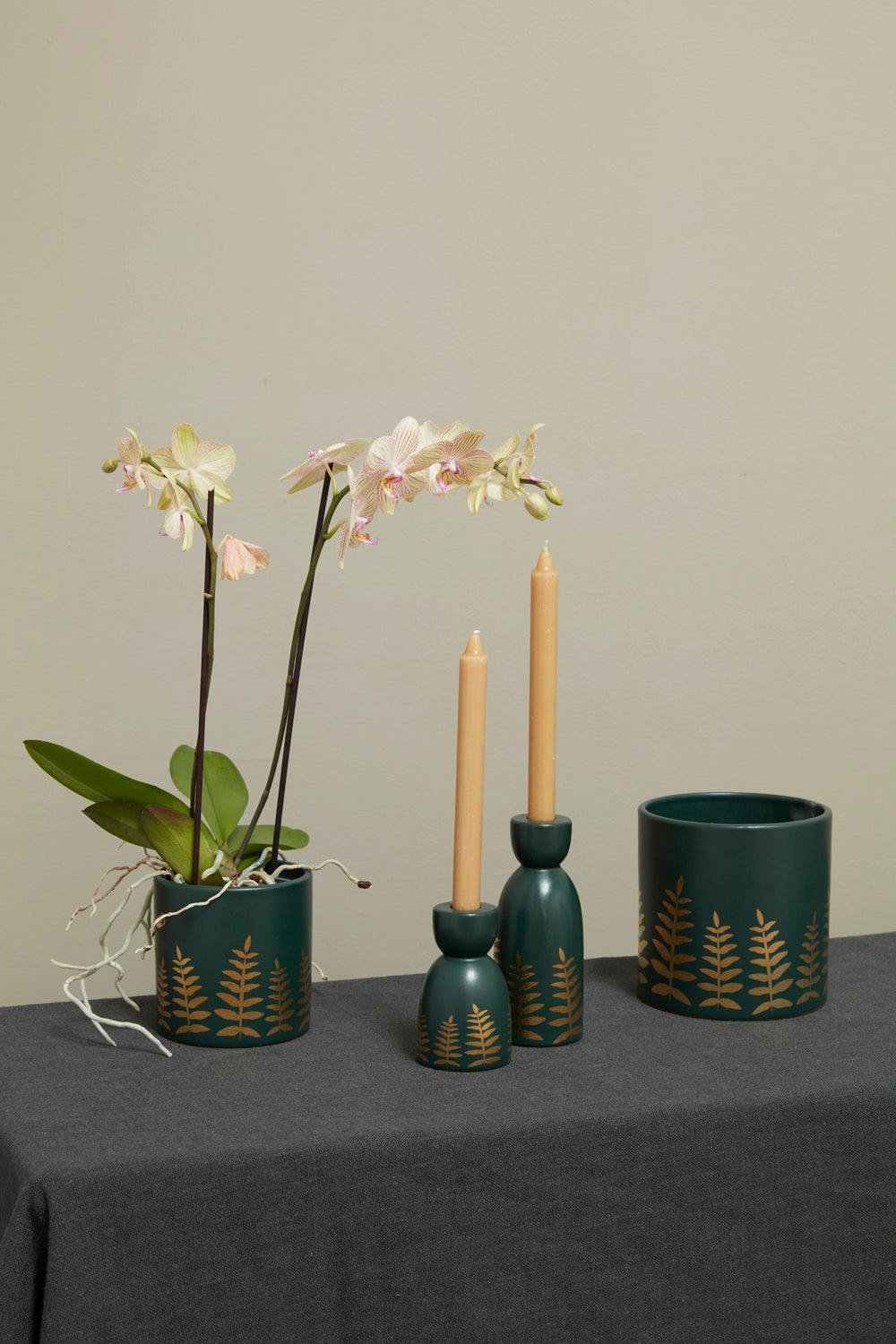 Midwinter Fern Collection