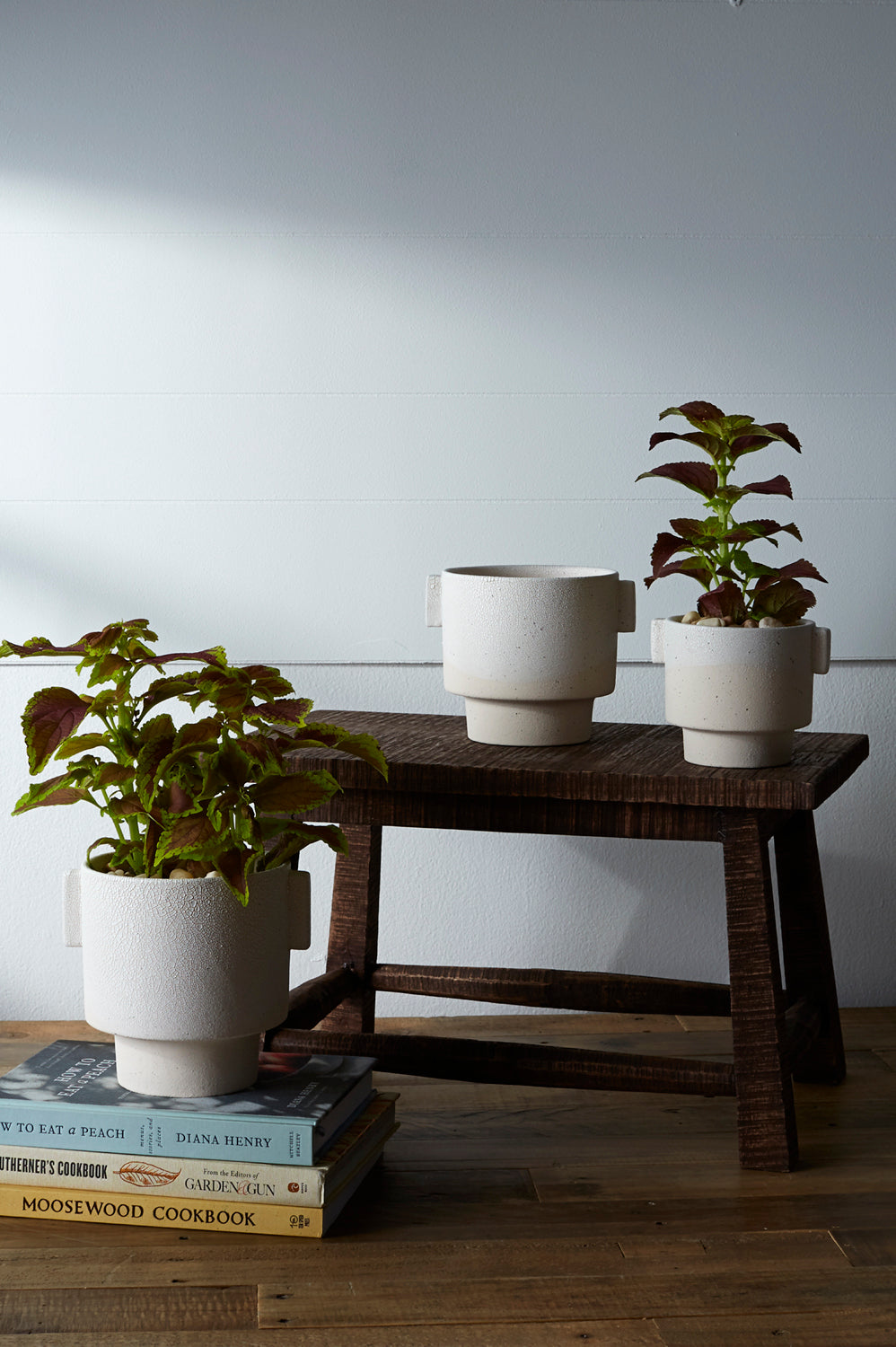 Milton Pot