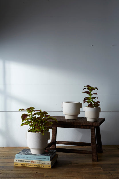 Milton Pot